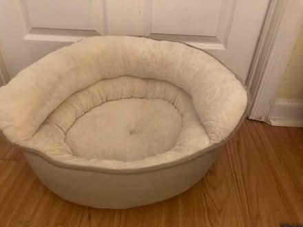 Photo of free Pet Bed - Cat/Small Dog - Howard Co (Scaggsville) #2