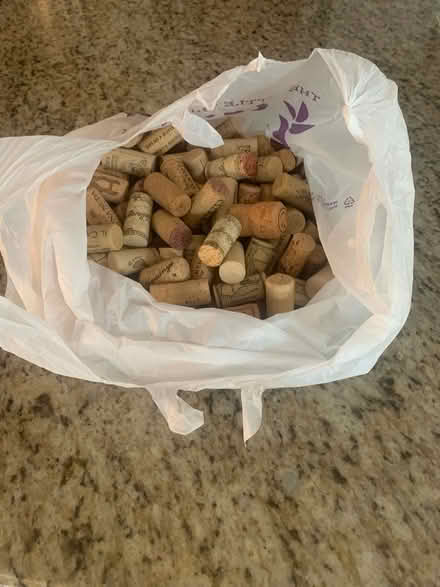 Photo of free Corks (Silver spring) #1