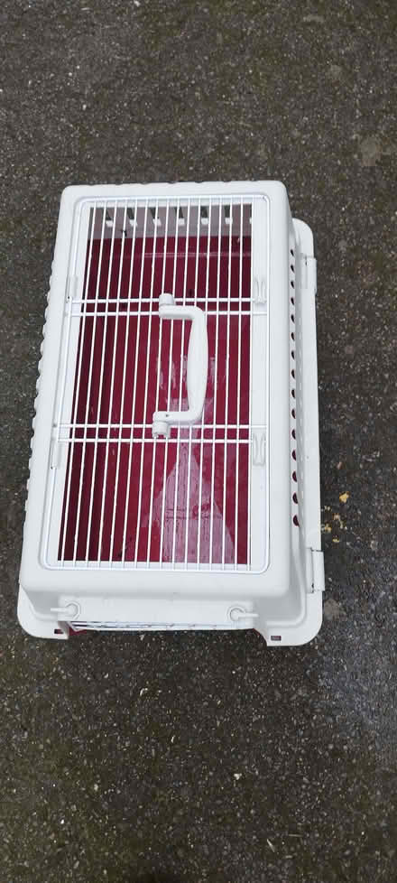 Photo of free cat carrier (Morden SM4) #3