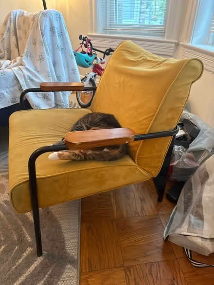 Photo of free Yellow velvet Prouve-style chair (Columbia Heights) #2