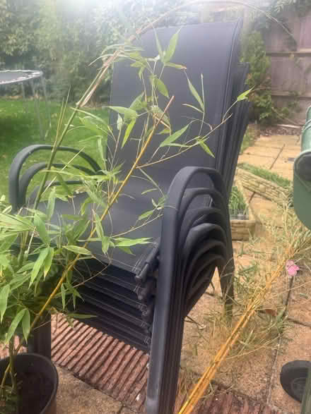 Photo of free 6 garden chairs (GL3) #1