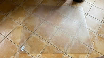 Photo of free Carpet protector for desk chair (Woughton on the Green MK6) #1
