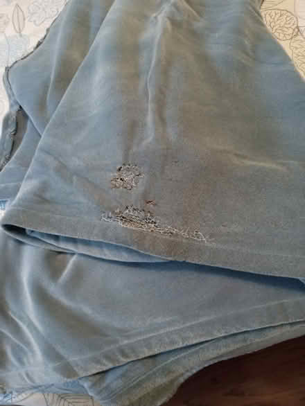 Photo of free Very old velour blanket (Rose Hill) #1