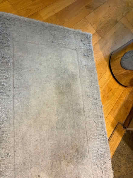 Photo of free Silver grey runner (Salisbury SP1) #3