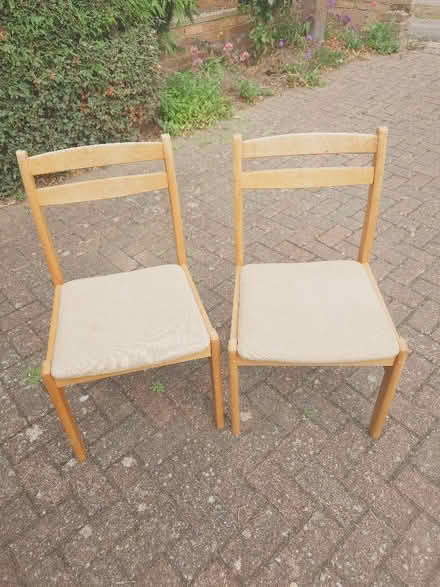 Photo of free Two pairs of dining chairs (Putnoe MK41) #1
