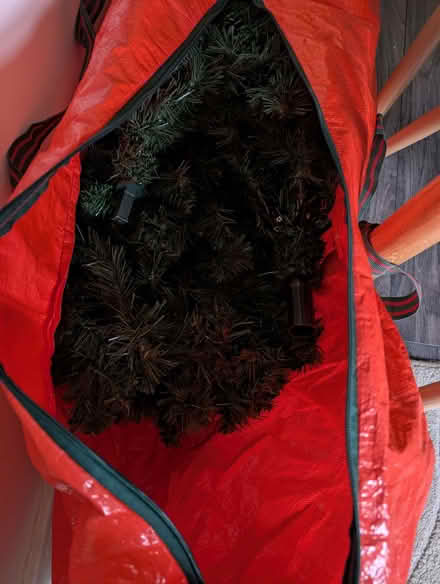 Photo of free Christmas tree (Woodley RG5) #1