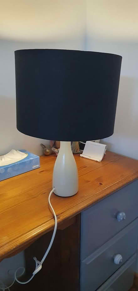 Photo of free large black shades and bottle lamp (Hengistbury Head BH6) #1