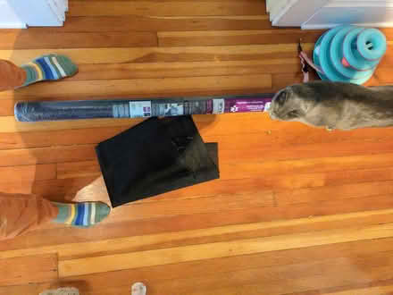 Photo of free Pet resistant screen material (Ballard) #3