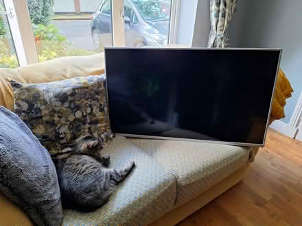 Photo of free Relatively new TV / Broken Screen (Celbridge) #1