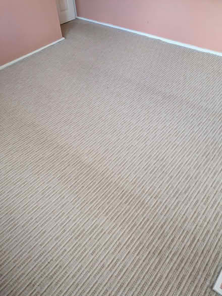 Photo of free Carpet (Beccles NR34) #4