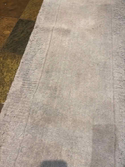 Photo of free Silver grey runner (Salisbury SP1) #2