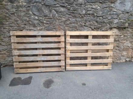 Photo of free Pallets (Knowles Hill TQ12) #2
