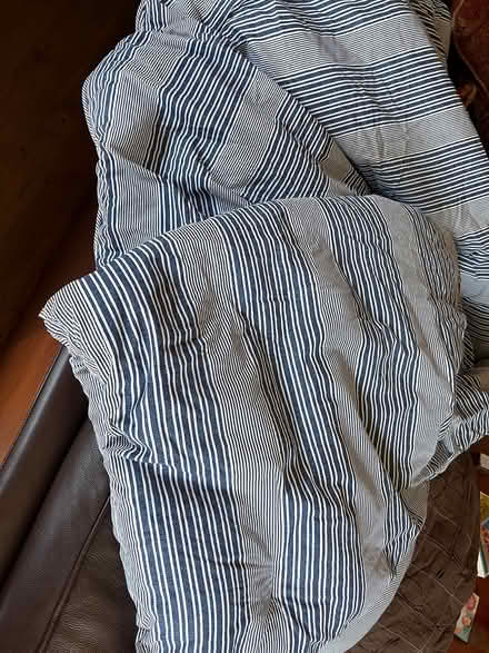 Photo of free 2 Bed quilts (Pinecliff Lake) #2