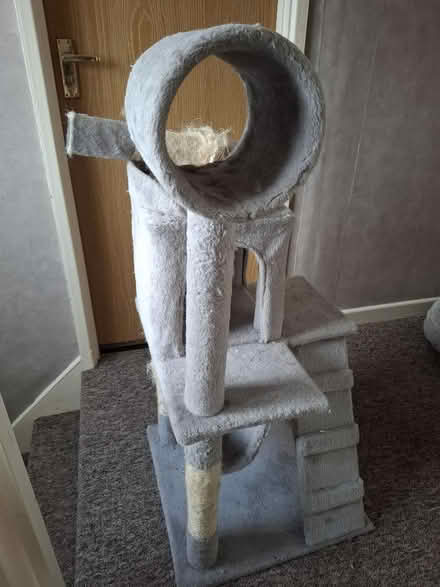 Photo of free Cat scratching posts (Cleehill SY8) #3