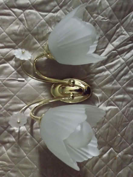 Photo of free Chandelier and sidelights (Marcham OX13) #2