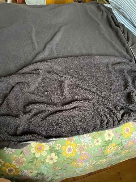 Photo of free Teddy bear king fitted sheet (Sidcup DA14) #1