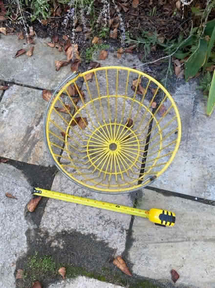 Photo of free Basket for clamming (?) (Nr Fresh Pond & Mt Auburn Cem.) #2