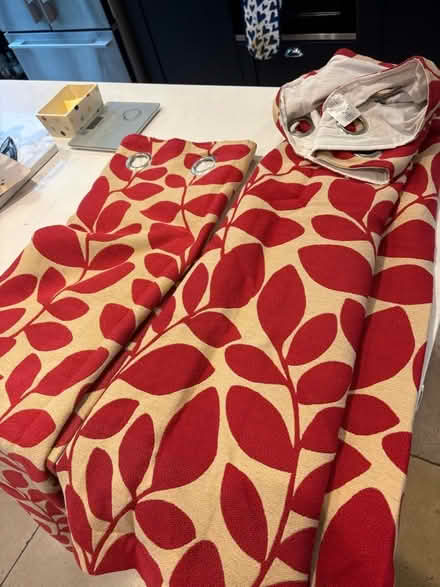 Photo of free Pair of Next Curtains (Checkendon RG8) #3