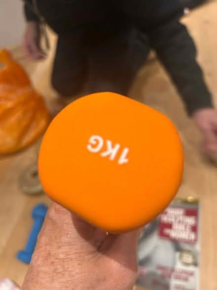 Photo of free Dumbell’s and free weights + book (Clapham Junction SW11) #3