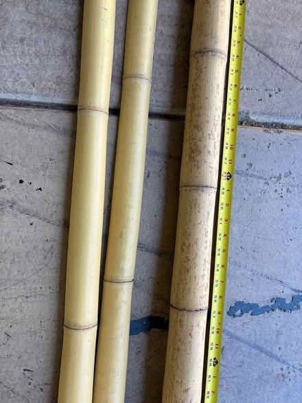 Photo of free Bamboo poles (Walnut Creek) #3