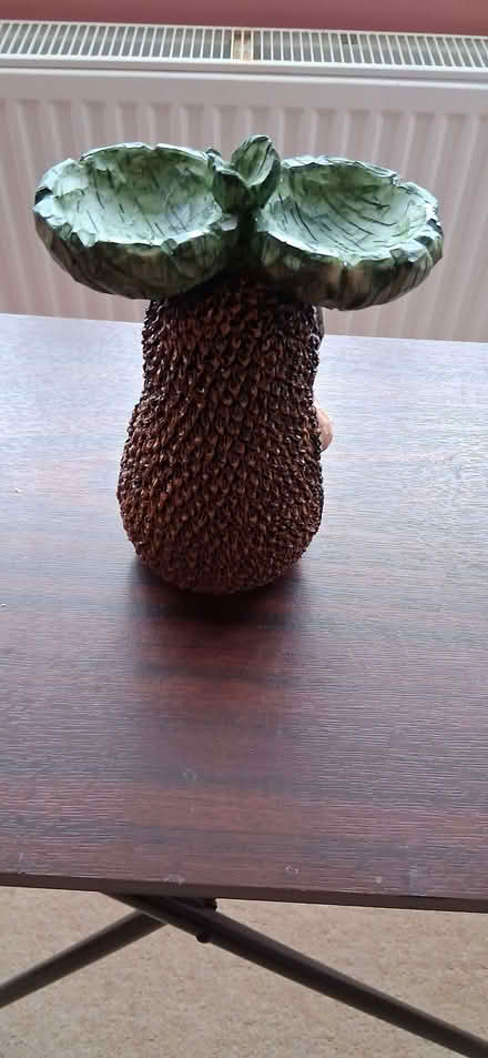 Photo of free very small bird bath/feeder (Wigmore LU2) #1