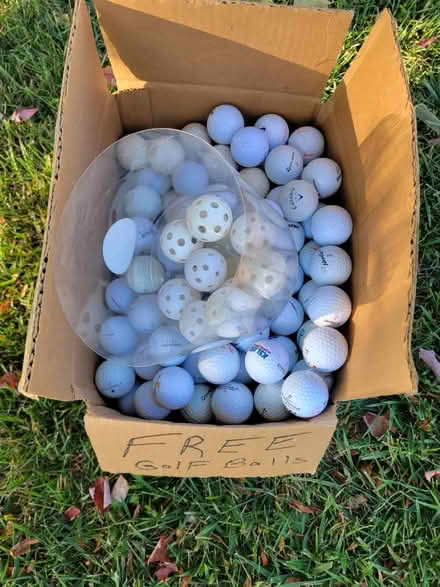 Photo of free Gold balls Sheldon and Saltz-Canton (Livonia) #1