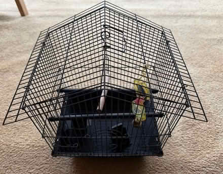 Photo of free Bird Cage (Cupertino - DeAnza and 280) #1