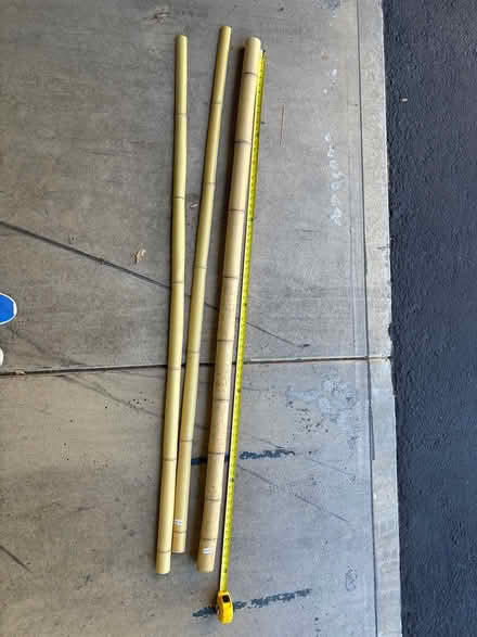 Photo of free Bamboo poles (Walnut Creek) #2