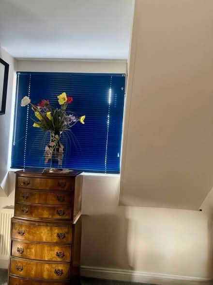 Photo of free Navy Venetian blind w114cmx100 drop (Woking GU22) #1