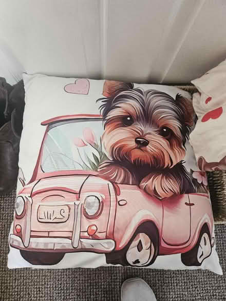 Photo of free Yorkie cushion (Ashton in Makerfield WN4) #1