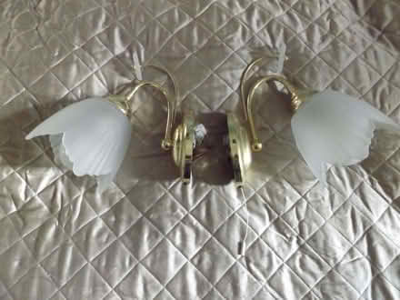 Photo of free Chandelier and sidelights (Marcham OX13) #3