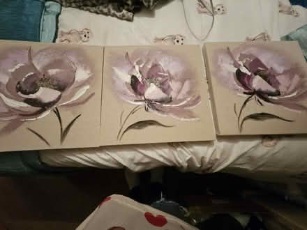 Photo of free Set of 3 canvas (Ashton in Makerfield WN4) #1