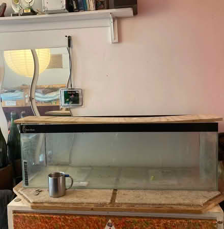 Photo of free aquarium (Lewes BN7) #1