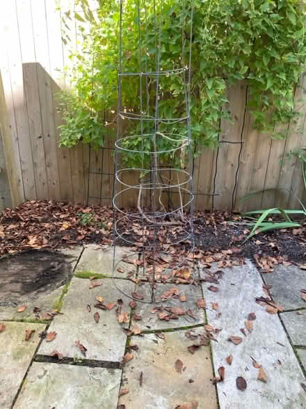 Photo of free Tomatoe cages (2) (Nr Fresh Pond & Mt Auburn Cem.) #2