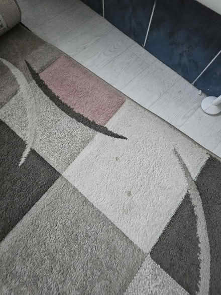 Photo of free Rug (Ashton in Makerfield WN4) #2
