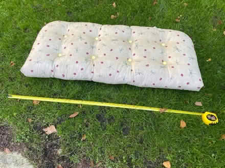 Photo of free Cushion (Nr Fresh Pond & Mt Auburn Cem.) #1