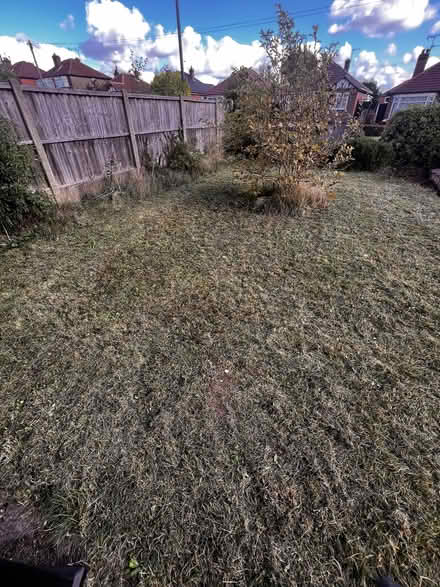 Photo of free Qualcast electric lawn mower (Spondon DE21) #2
