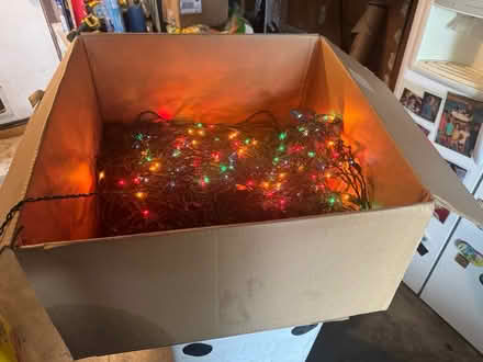 Photo of free Christmas mesh lights x12 (Near Union and LG-Almaden) #1
