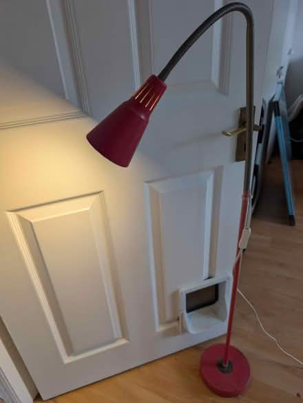 Photo of free Free standing lamp (Blackrock) #1