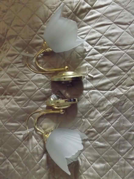 Photo of free Chandelier and sidelights (Marcham OX13) #4