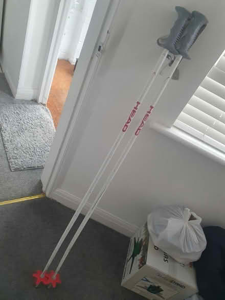 Photo of free Ski poles Men (WD25 Woodside) #1