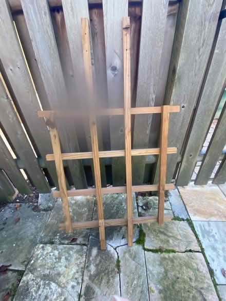 Photo of free Garden trellis (Nr Fresh Pond & Mt Auburn Cem.) #2