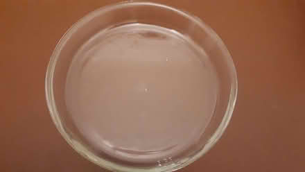Photo of free Pyrex Flan Dish (Cressex HP12) #1