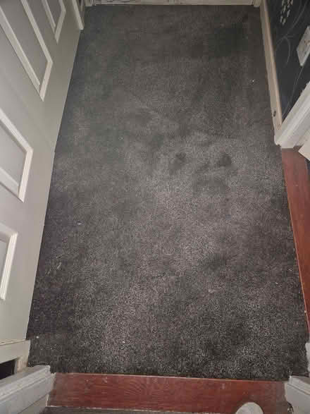 Photo of free Dark grey carpet (AB23) #3