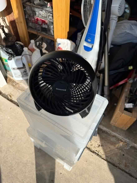 Photo of free Fan (North shoal creek) #2