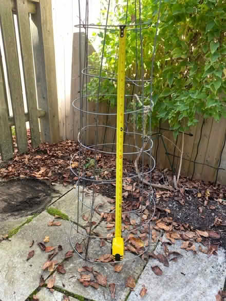 Photo of free Tomatoe cages (2) (Nr Fresh Pond & Mt Auburn Cem.) #1