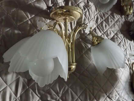 Photo of free Chandelier and sidelights (Marcham OX13) #1