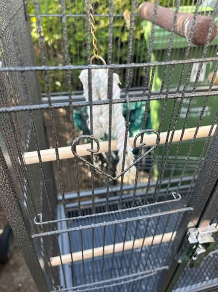 Photo of free Bird Cage (RM10) #2