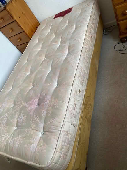 Photo of free Single bed (Highweek) #1