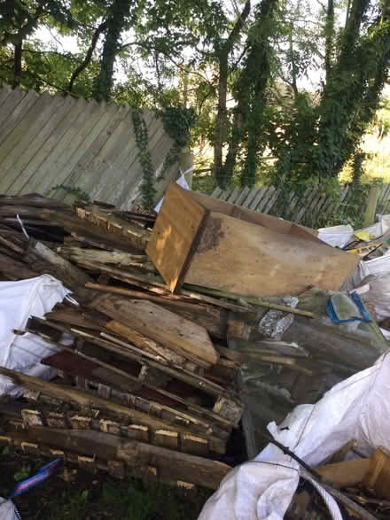 Photo of free Wood (Appleby-in-Westmorland CA16) #2